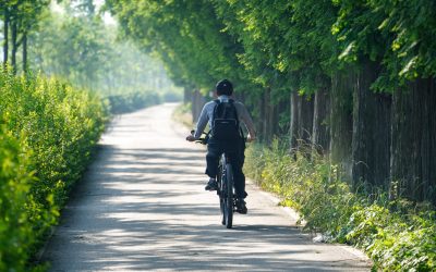 News 6 Ubriaco in bicicletta: si rischia la patente?